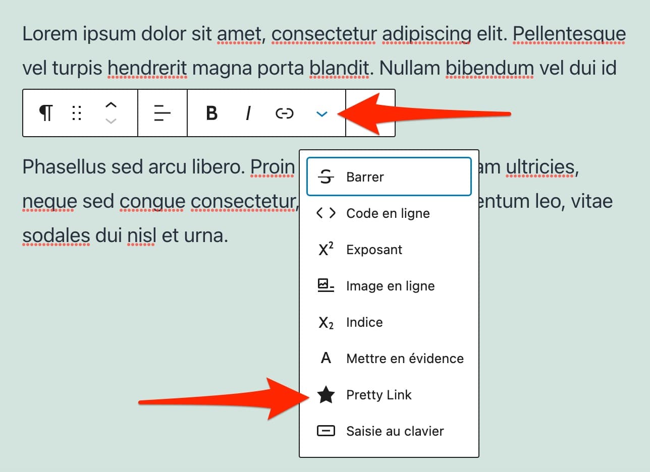 Ajout d'un pretty link sur Gutenberg.