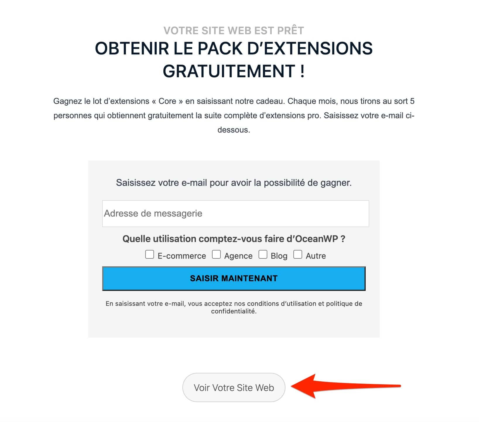 Un formulaire d'opt-in proposé par OceanWP.