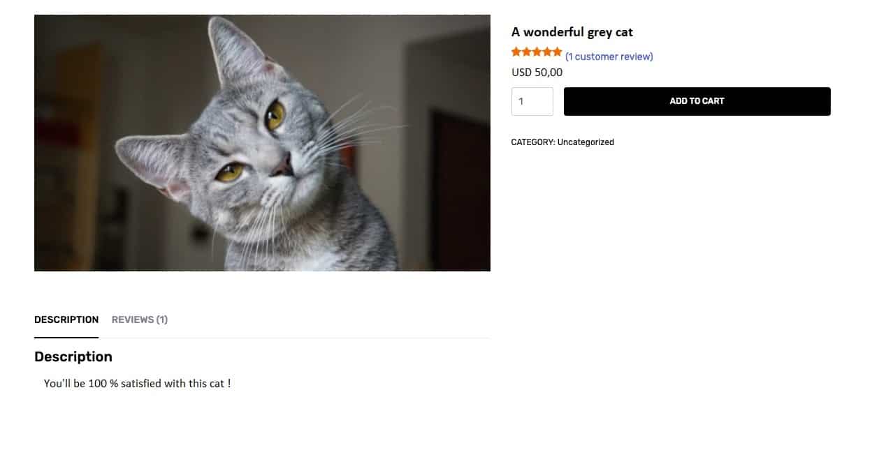 Product page with description, price and reviews.