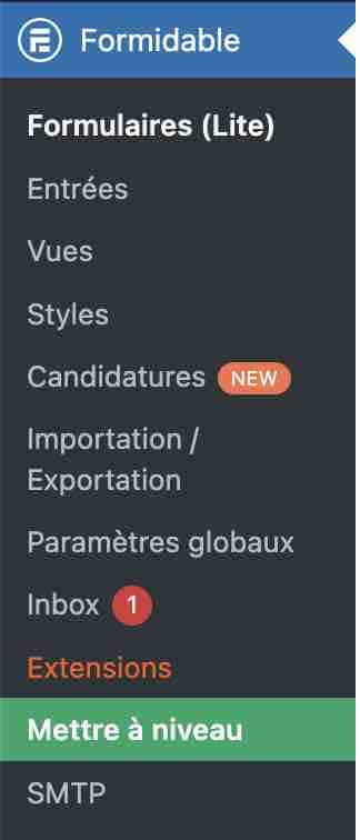Le menu de réglages de Formidable Forms sur l'interface d'admin de WordPress.