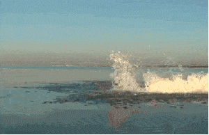 A man using a jetpack over water.