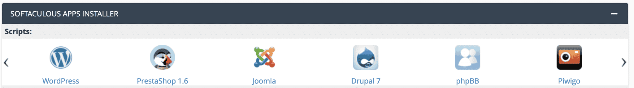The Softaculous tool to install WordPress.
