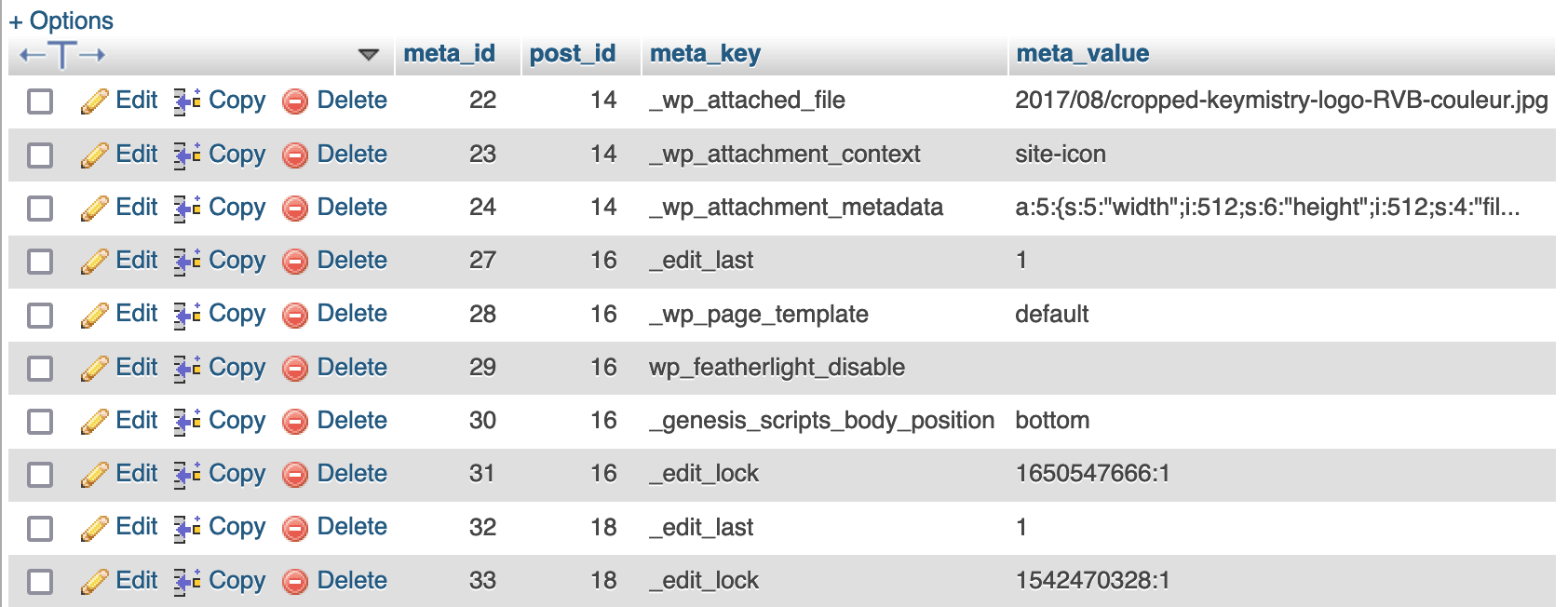 The WordPress postmeta table.