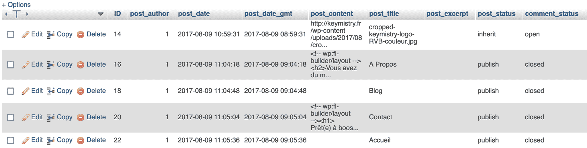 WordPress posts table.