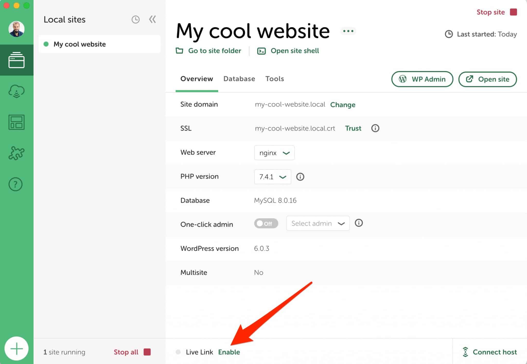 Live Links from Local by Flywheel allow you to show your site to your clients.