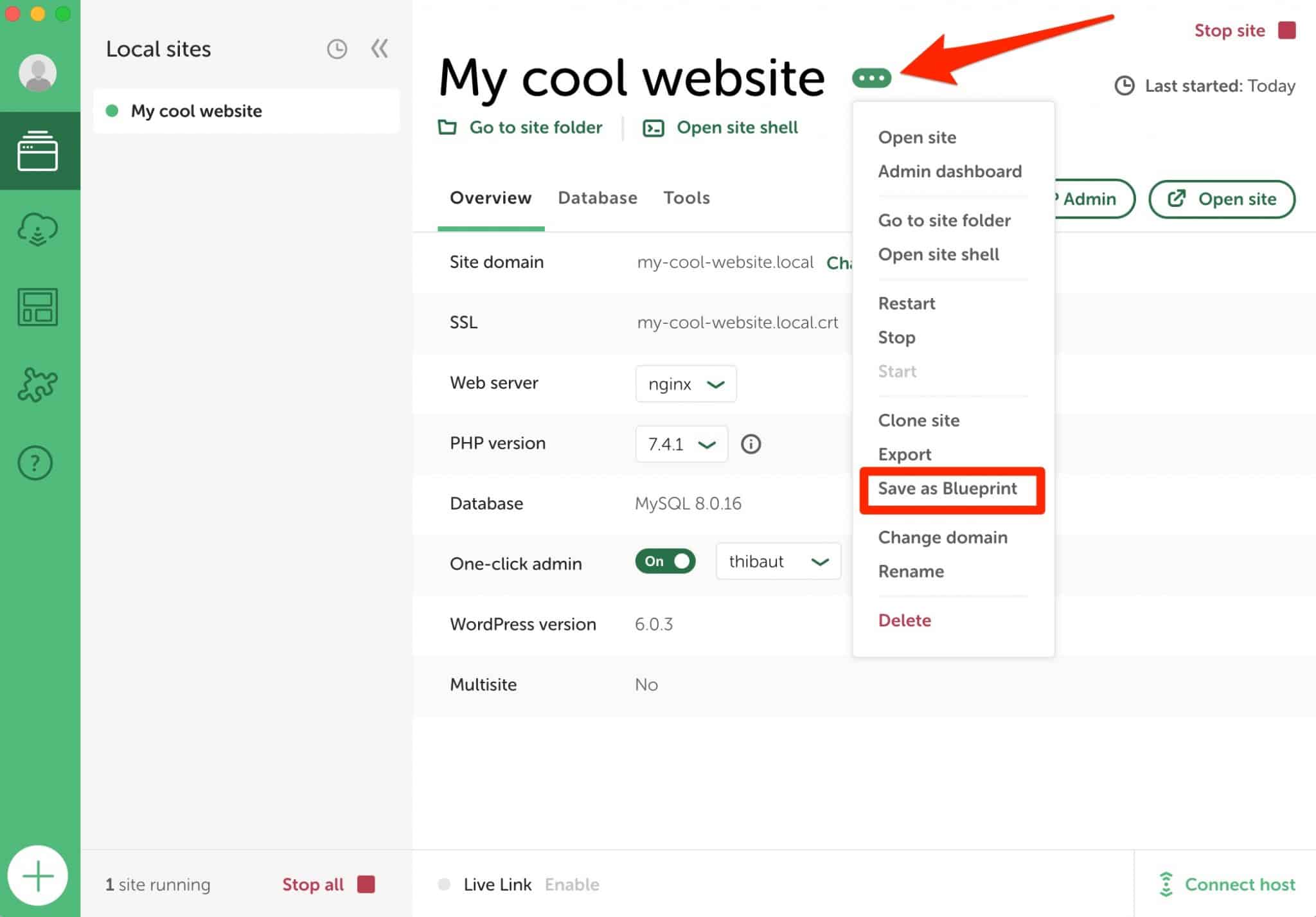 Local allows you to make a Blueprint to save time.