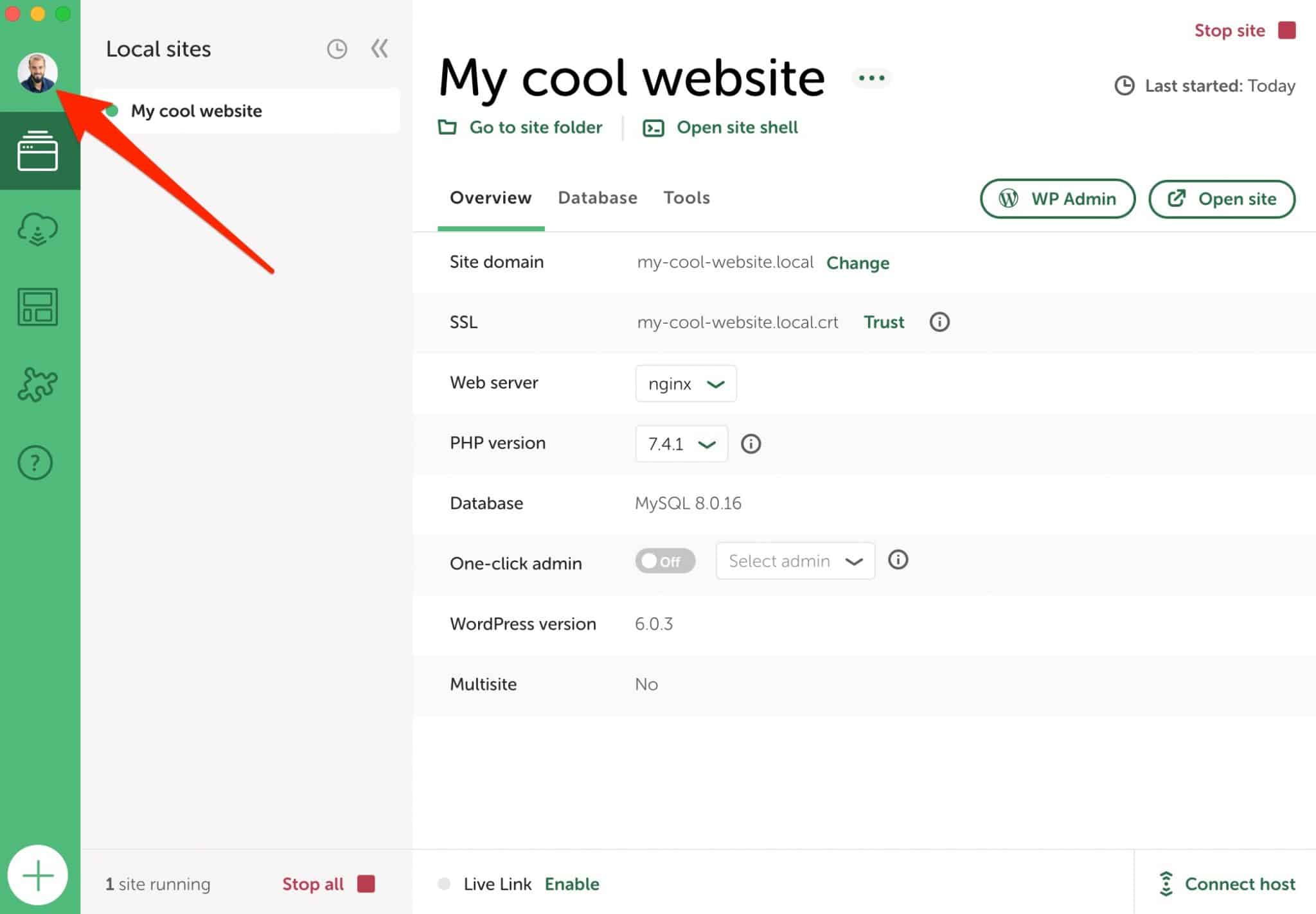 Accessing a local account through the Local by Flywheel interface. 