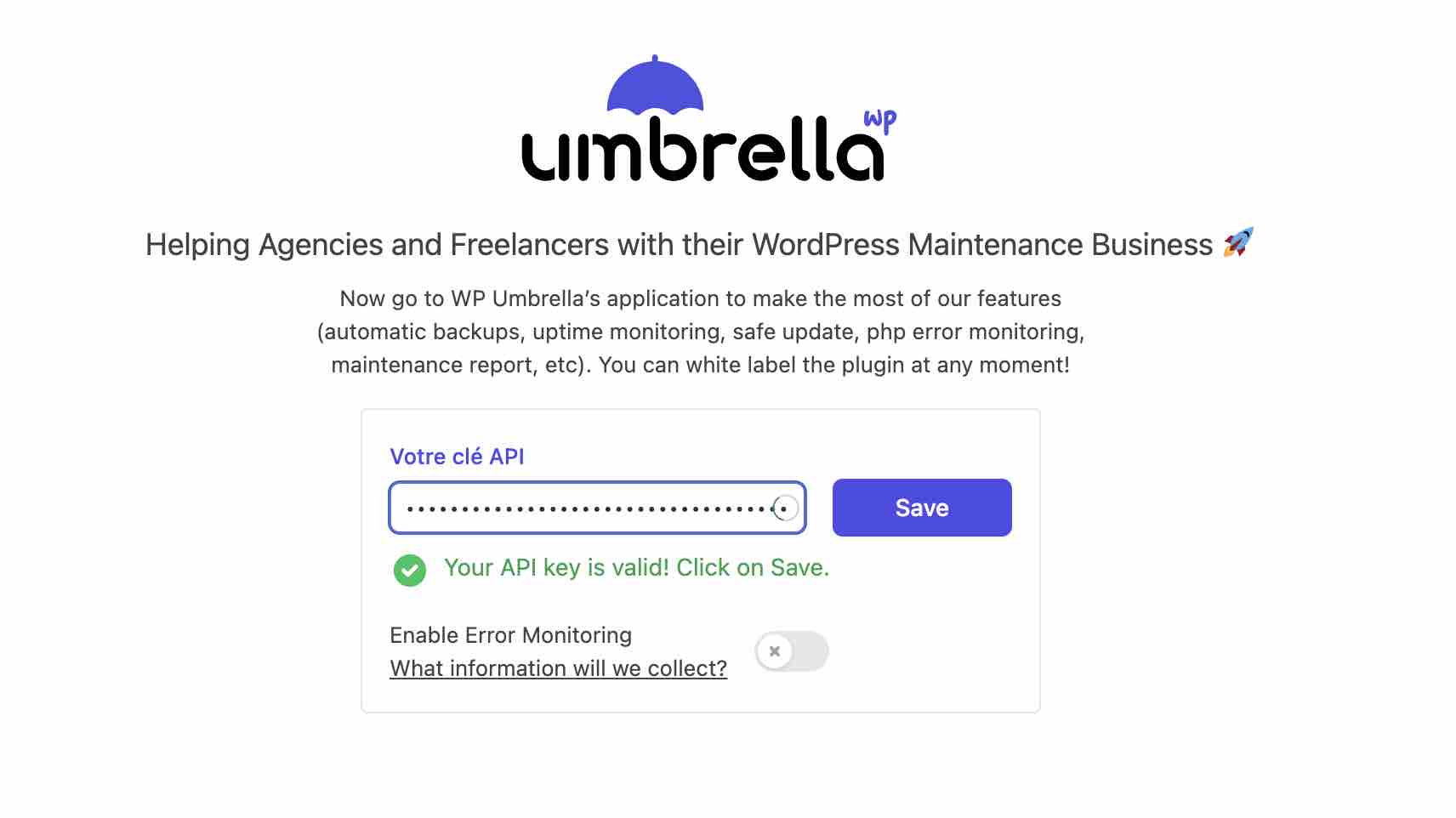 Enregistrement de la clé API de WP Umbrella. 