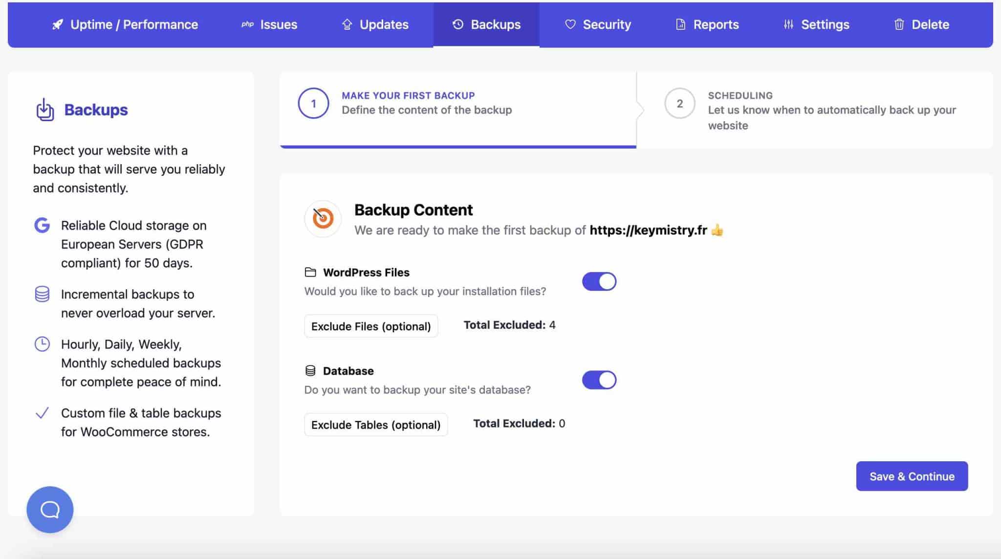 WP Umbrella backup settings.