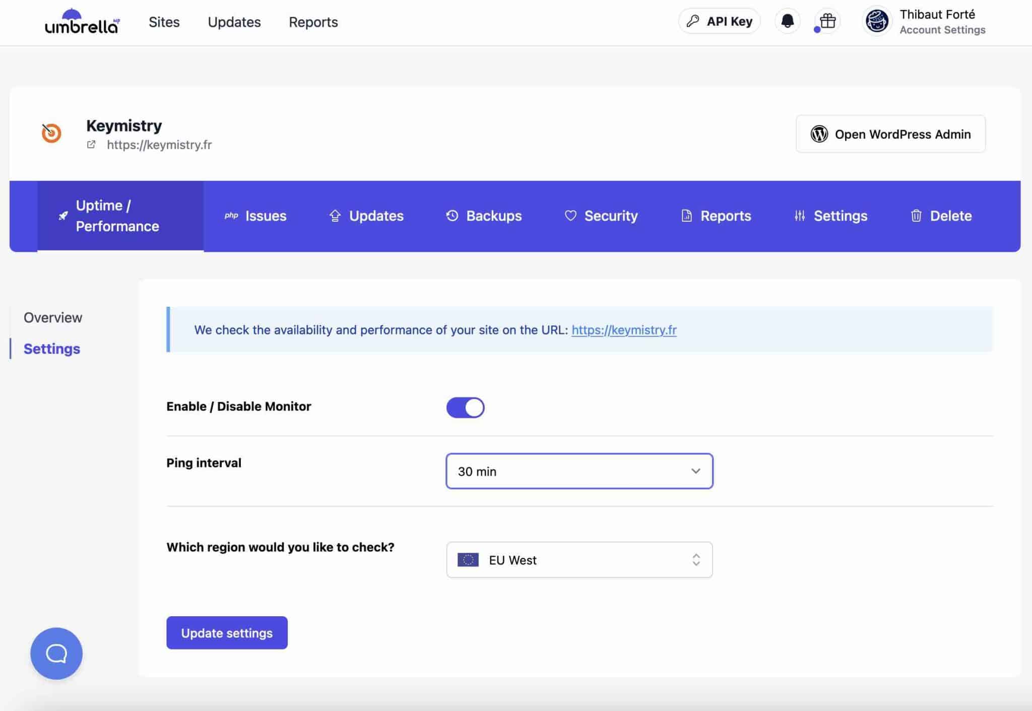 Uptime / Performance options on WP Umbrella.