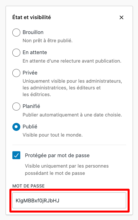 Le mot de passe contrôlant la visibilité d'une page est disponible sur l'éditeur de WordPress.