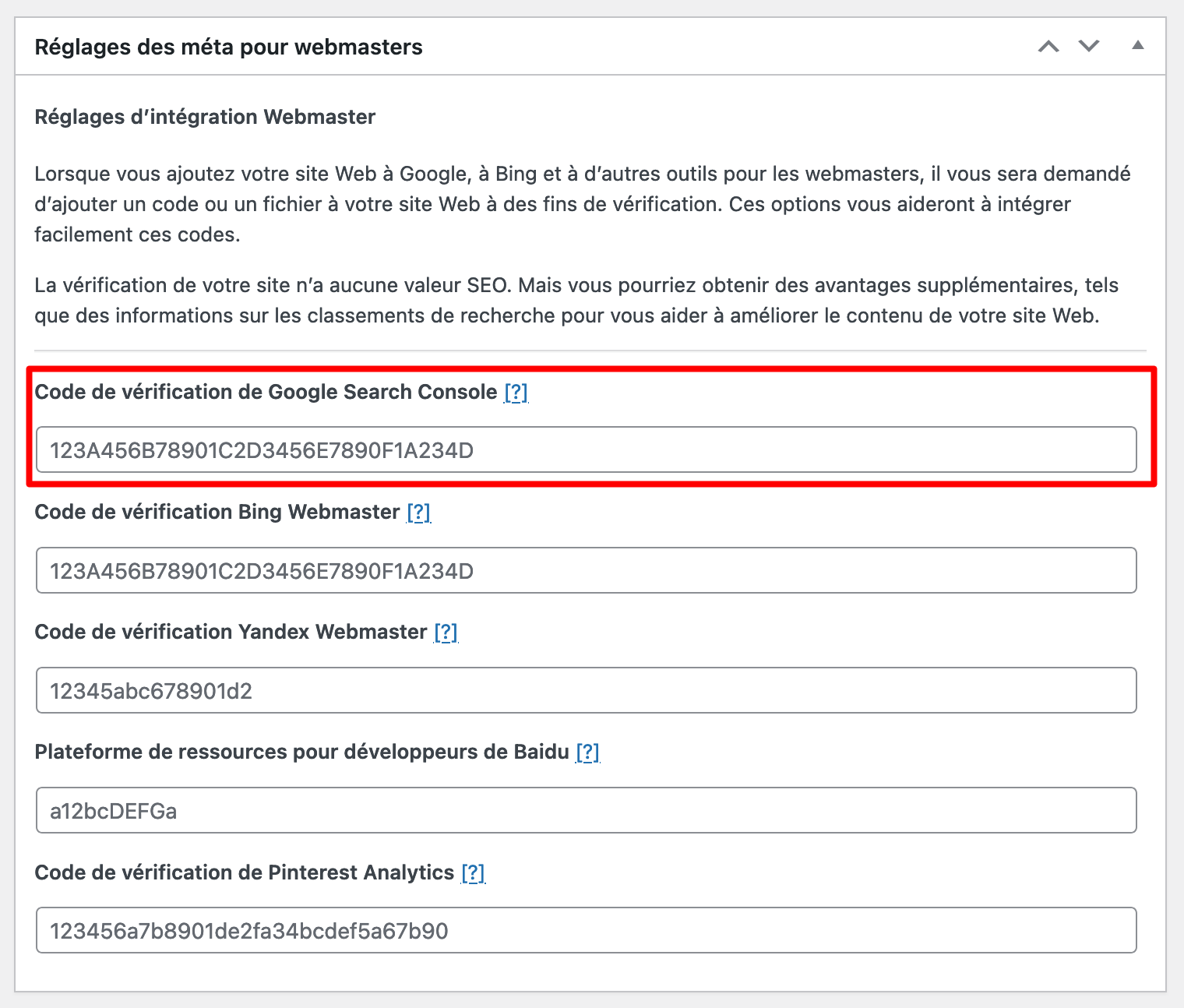 Réglages des méta pour webmasters sur The SEO Framework.
