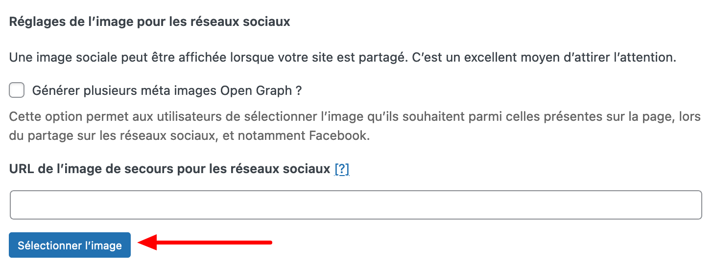 Réglages de l'image pour les réseaux sociaux de The SEO Framework.
