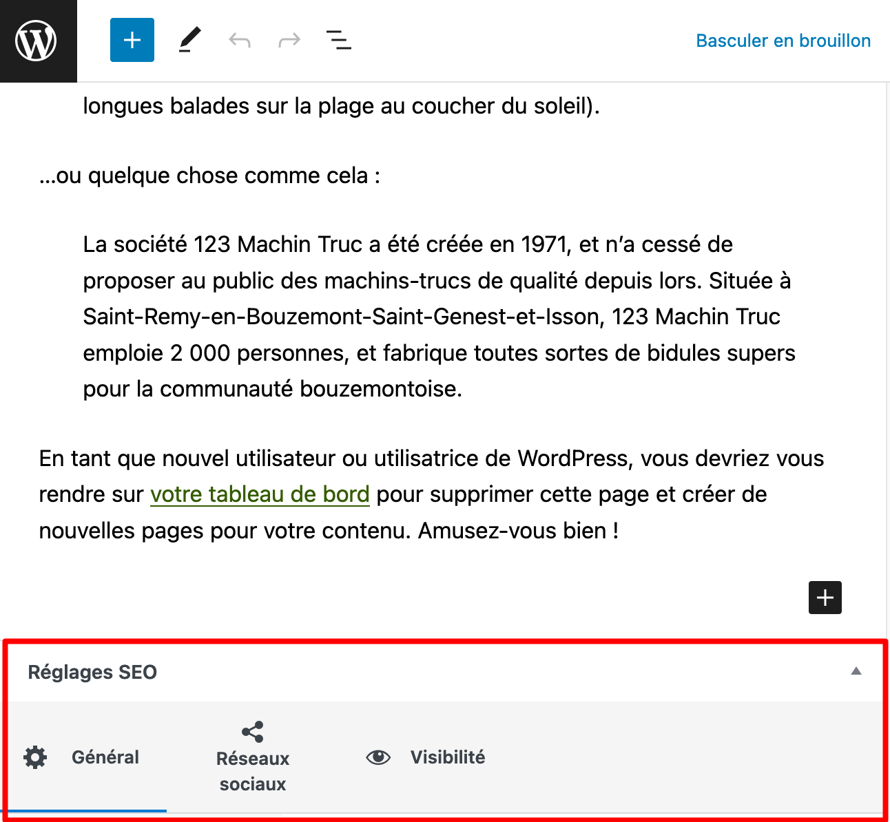 Réglages SEO proposés par The SEO Framework.