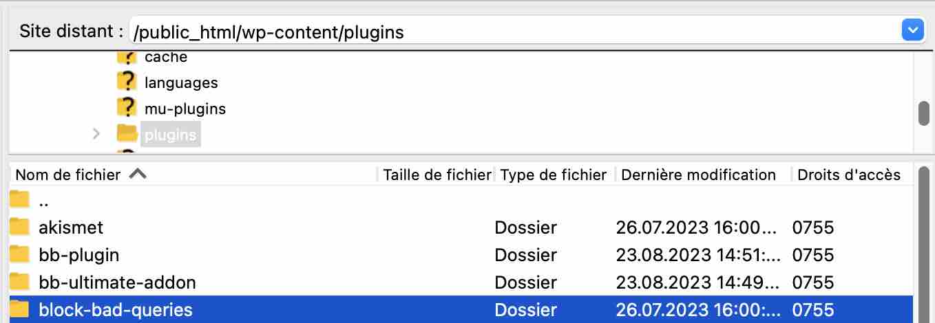 Ajout du plugin WordPress « Block Bad Queries » (BBQ Firewall) sur le FTP. 