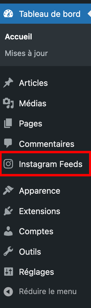 Menu Instagram Feeds sur le CMS WordPress. 