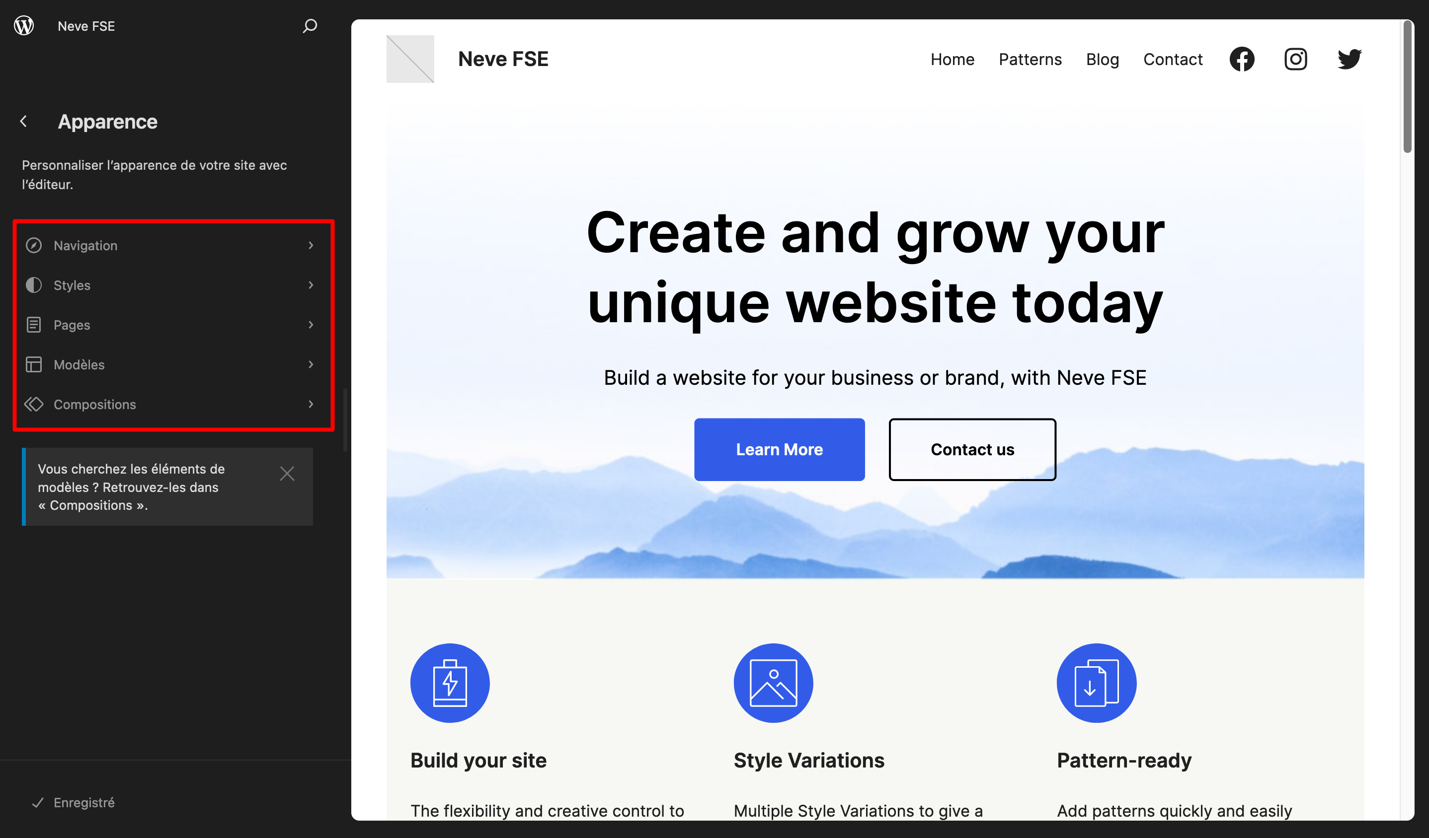 Options du thème Neve FSE au niveau de l'apparence.