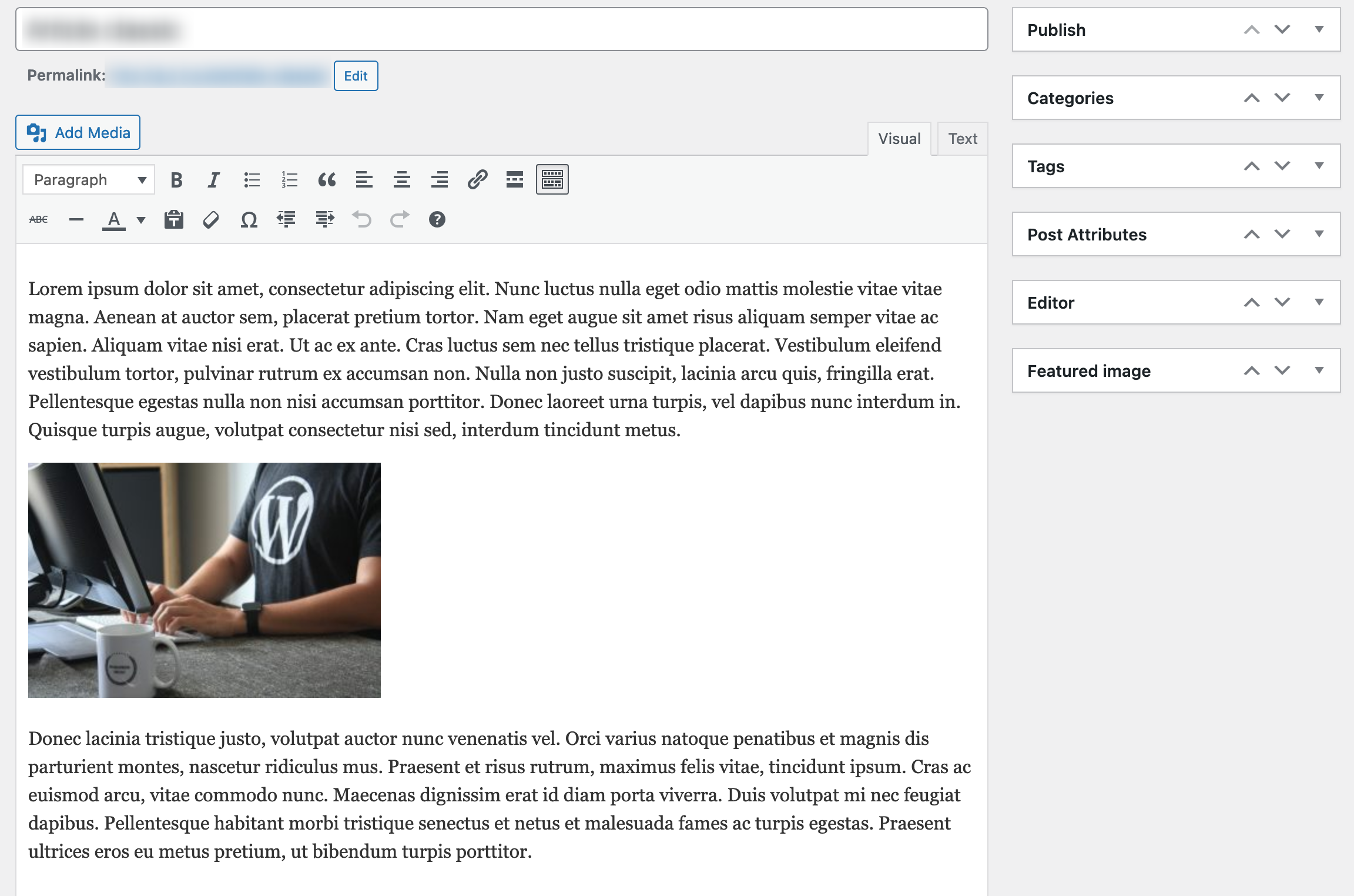 The "classic" content editor interface.