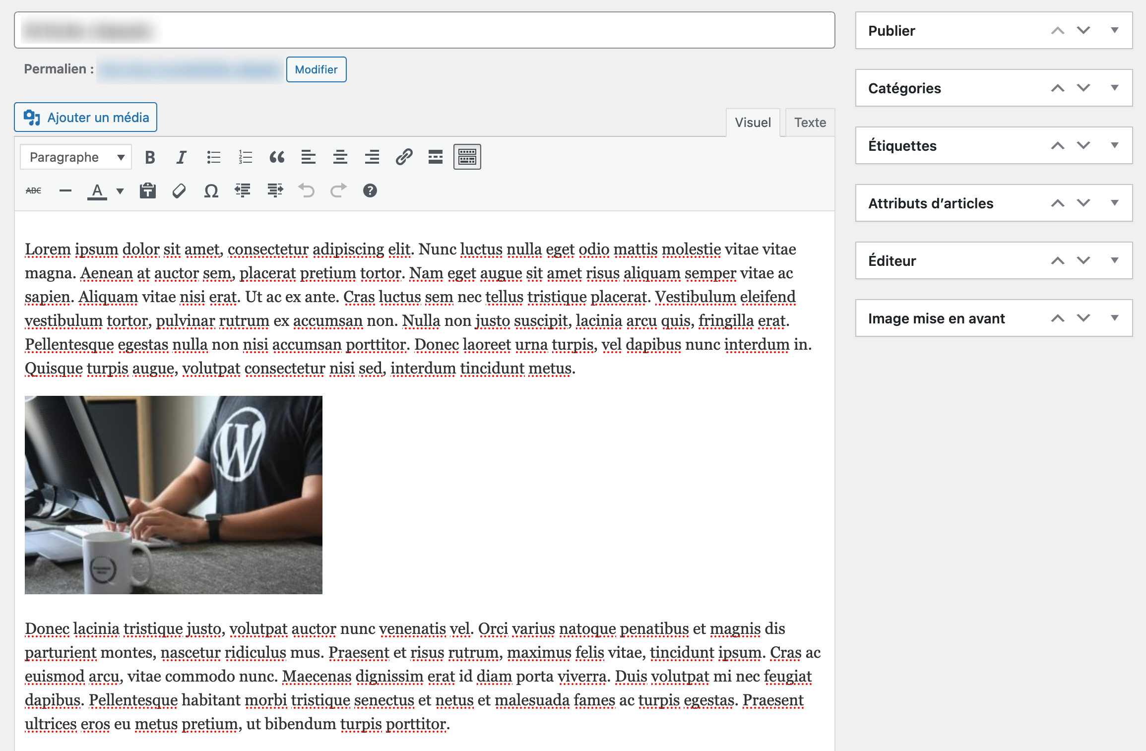 L'interface de l'éditeur classique avec du contenu.