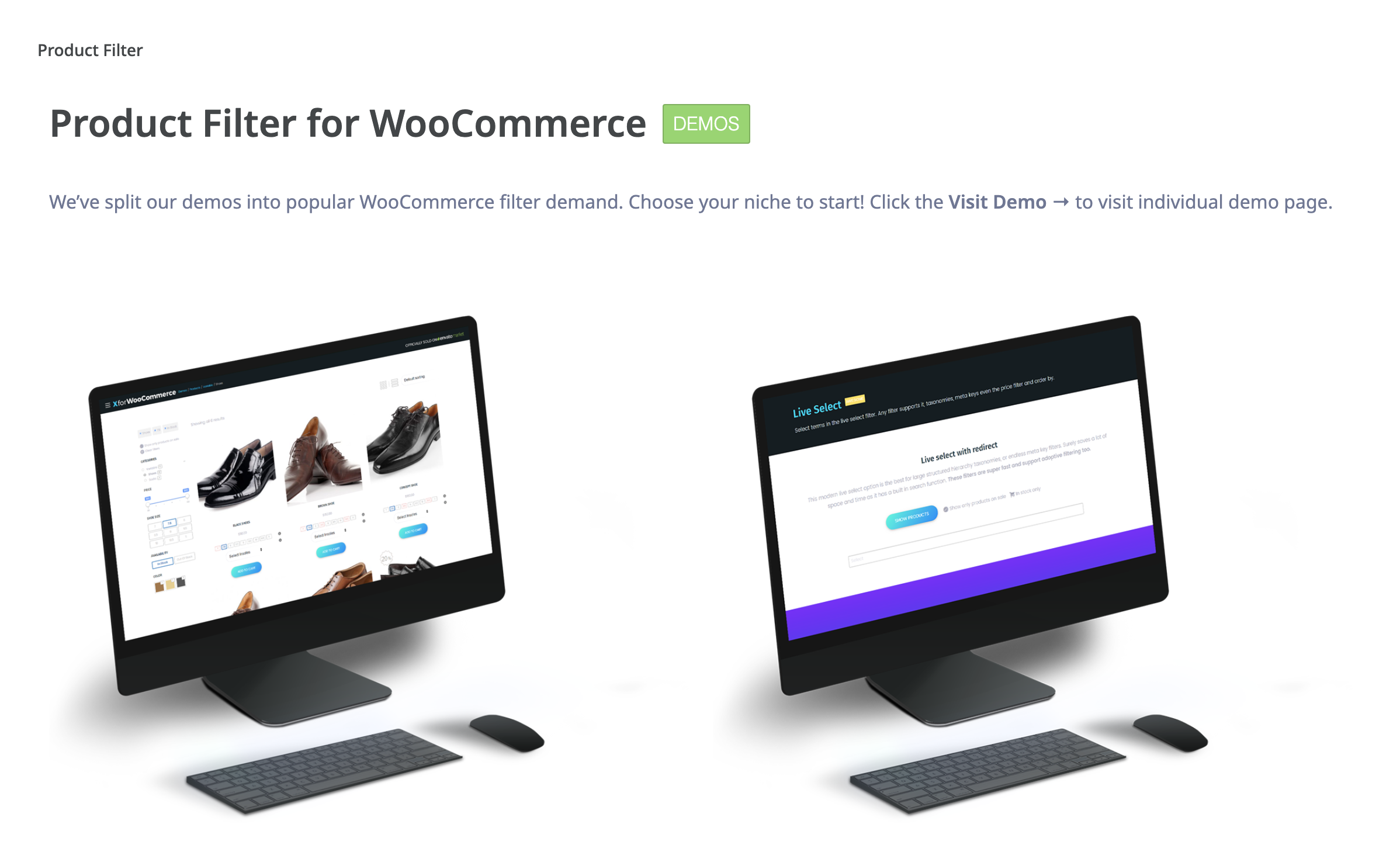 Le plugin Product Filter for WooCommerce.