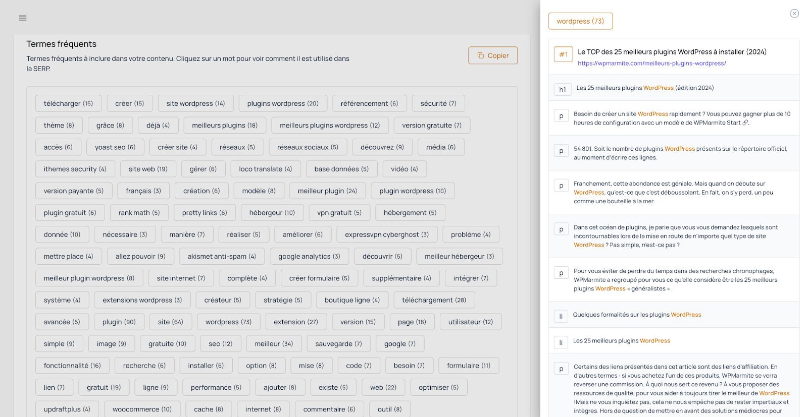 L'analyse de SERP affiche les termes fréquemment utilisés.