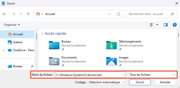 Vérifier le fichier hosts sur Windows