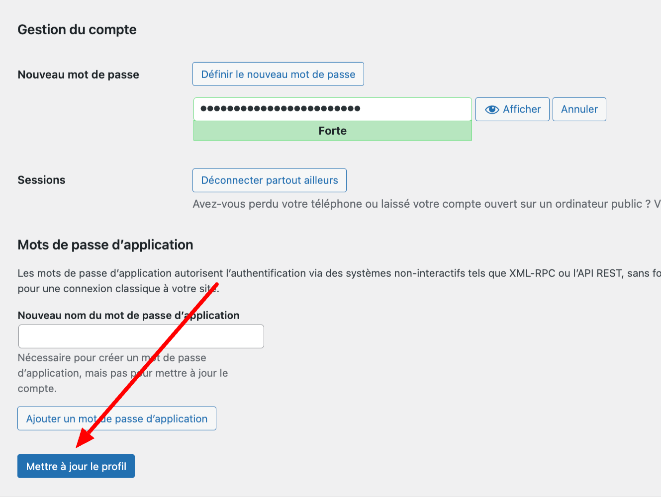 Mettre à jour le profil WordPress.