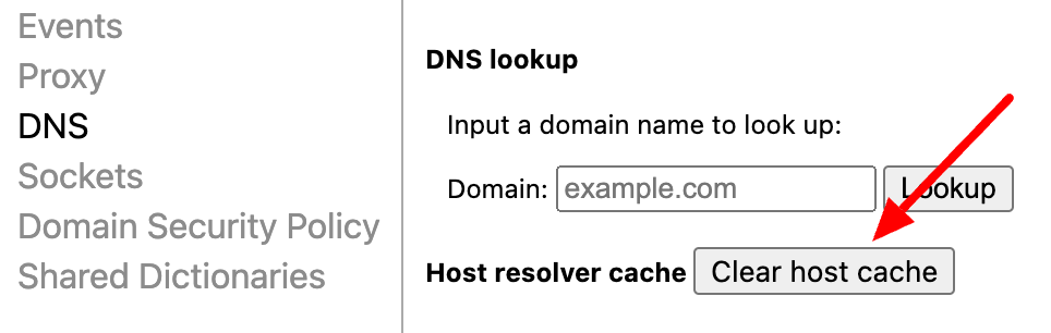 Vider le cache DNS de Google Chrome.