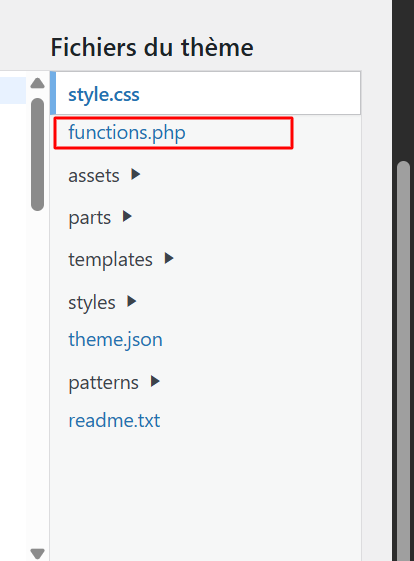 Édition du fichier functions.php sur WordPress