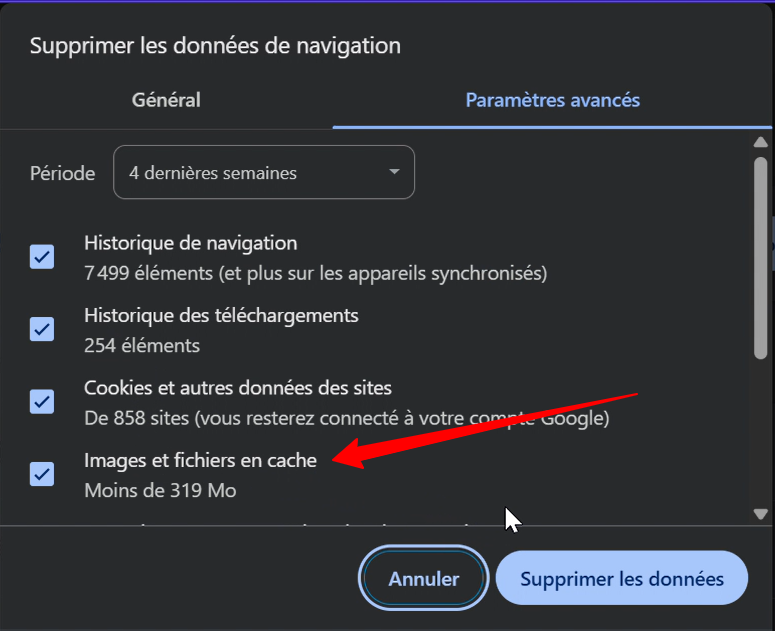 Effacer les données du navigateur Chrome