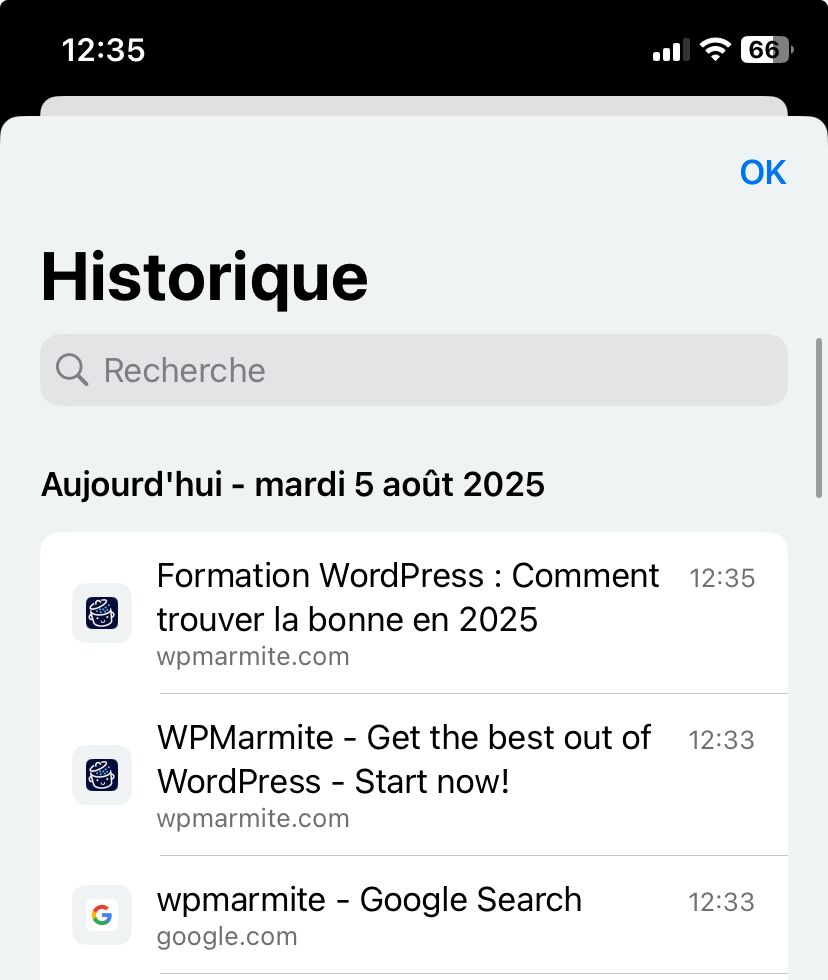 C'est un exemple de favicon dans l’historique d’un iPhone