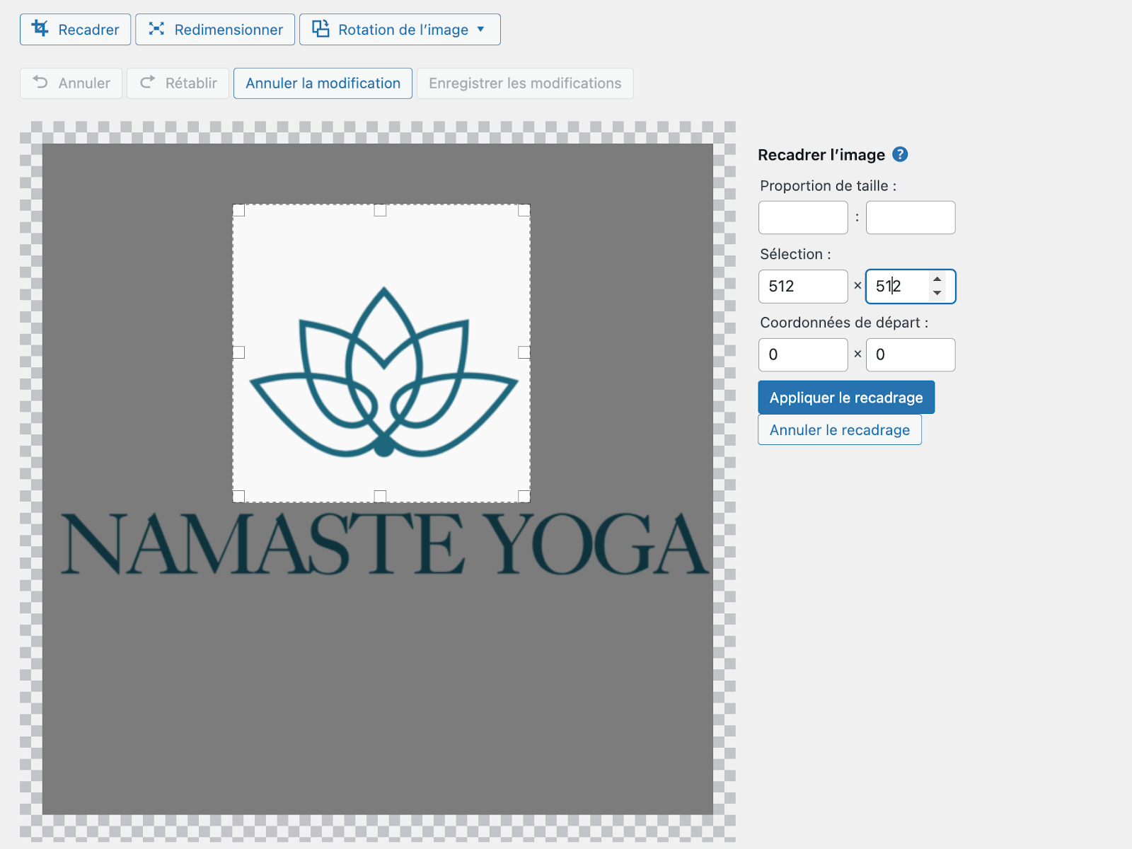 On montre comment recadrer la favicon via la Médiathèque 