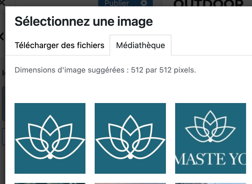 La taille recommandée par WordPress pour une favicon est 512 x 512 px