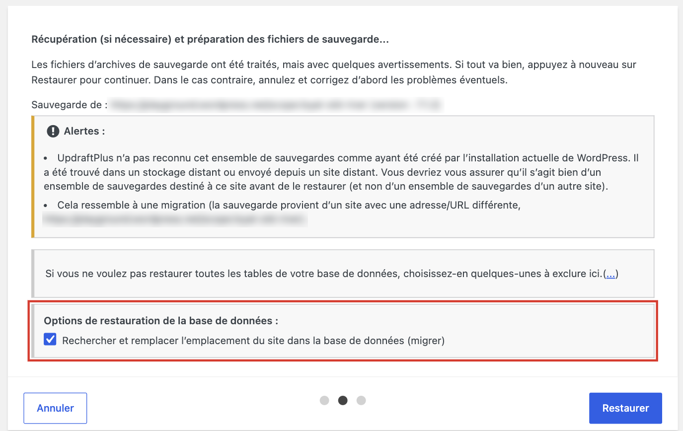 Option de migration Rechercher et remplacer l'emplacement du site dans UpdraftPlus